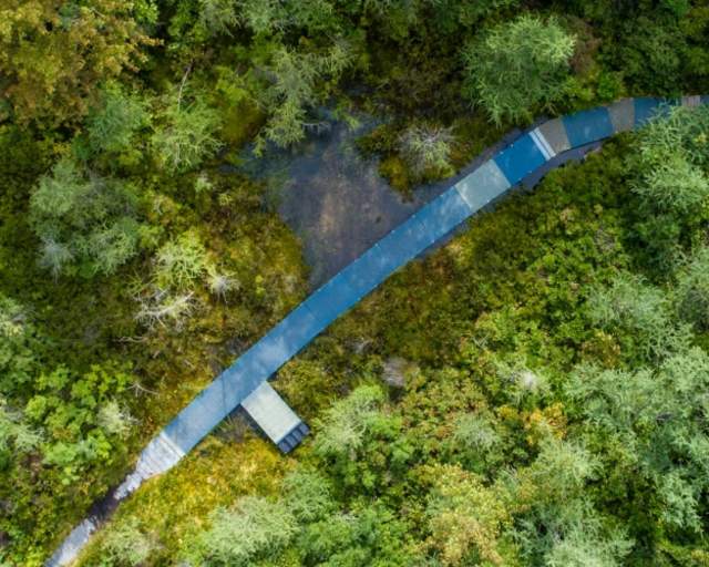 Pinhook Bog aerial