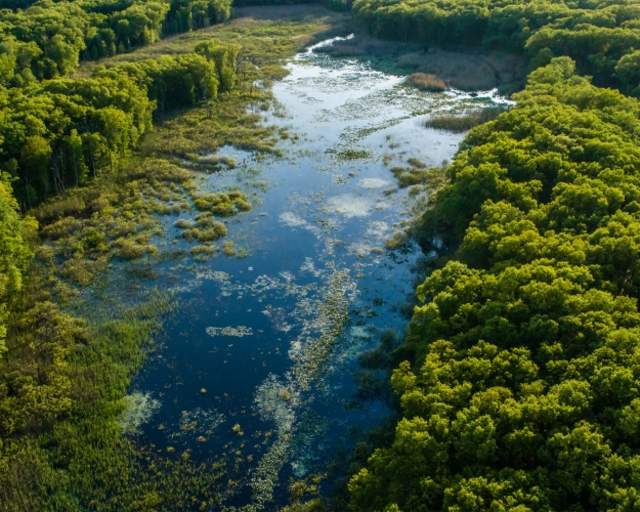 An aerial view of Cowles Bog