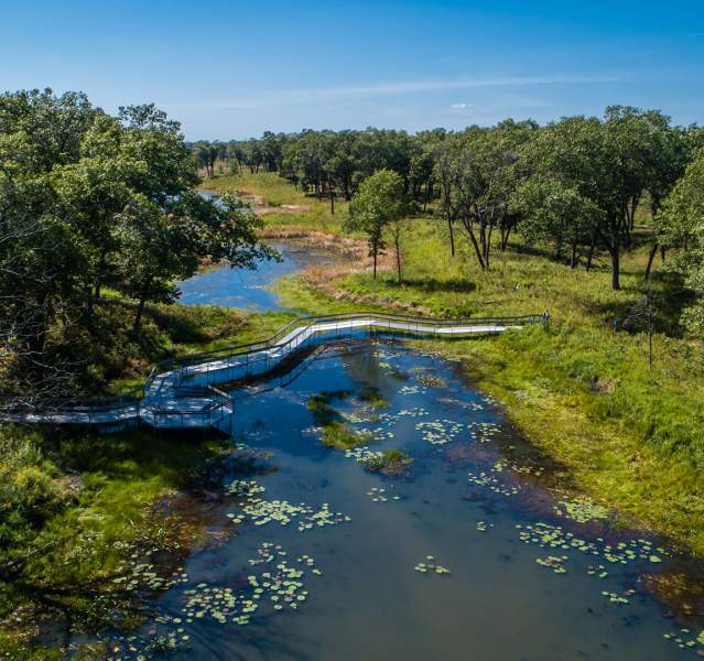 A boardwalk snakes over a wetland between two wooded areas