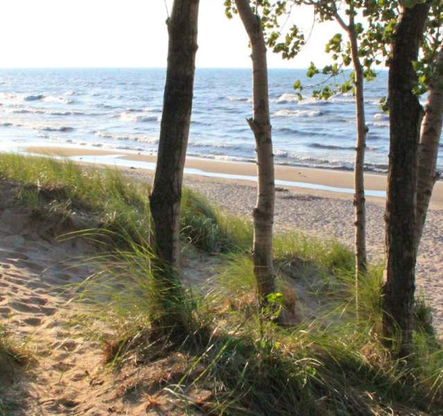 Explore the Dunes 7