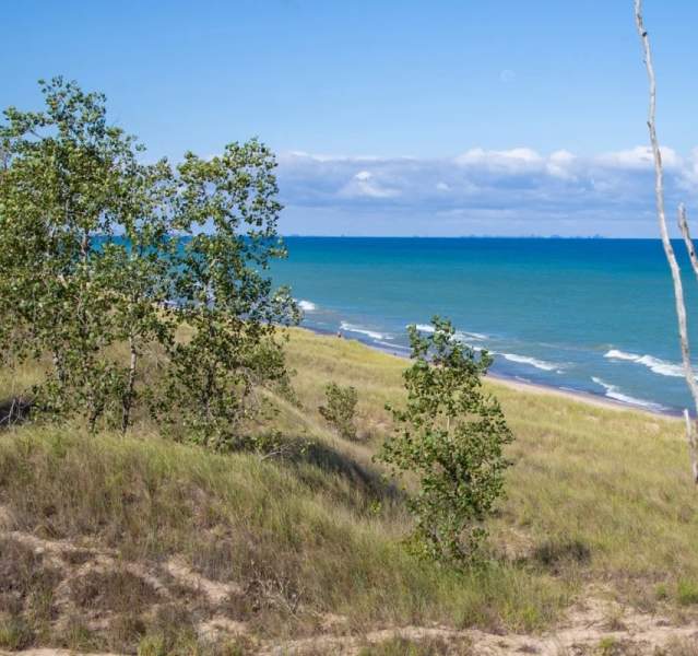 Dunes and beach