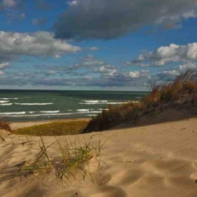 View of the water from dunes