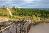 Wooden staircase descending through dense tree cover toward the beach at Indiana Dunes