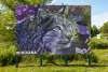 Indigenous Cultural Trail ARCY Murals