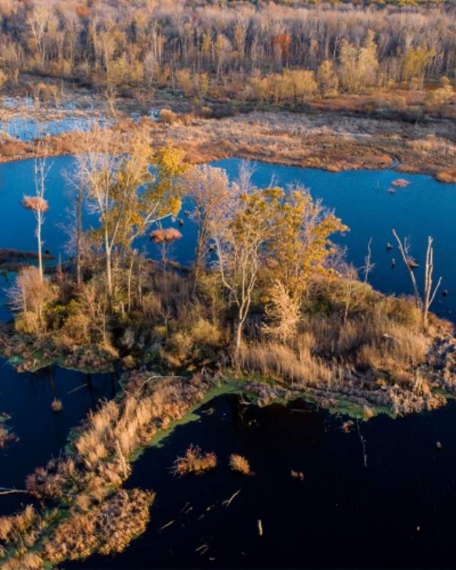 Aerial view of the Great Marsh Wetlands