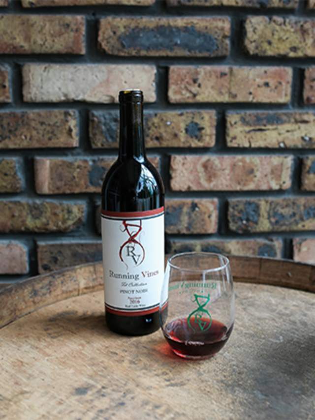 Wine Bottle and Glass