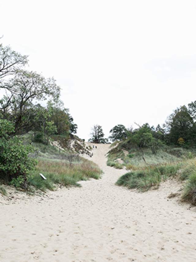 beach path