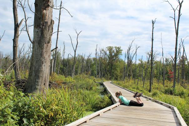 Trail 2/10 Discovery Trail Charlene Lynn