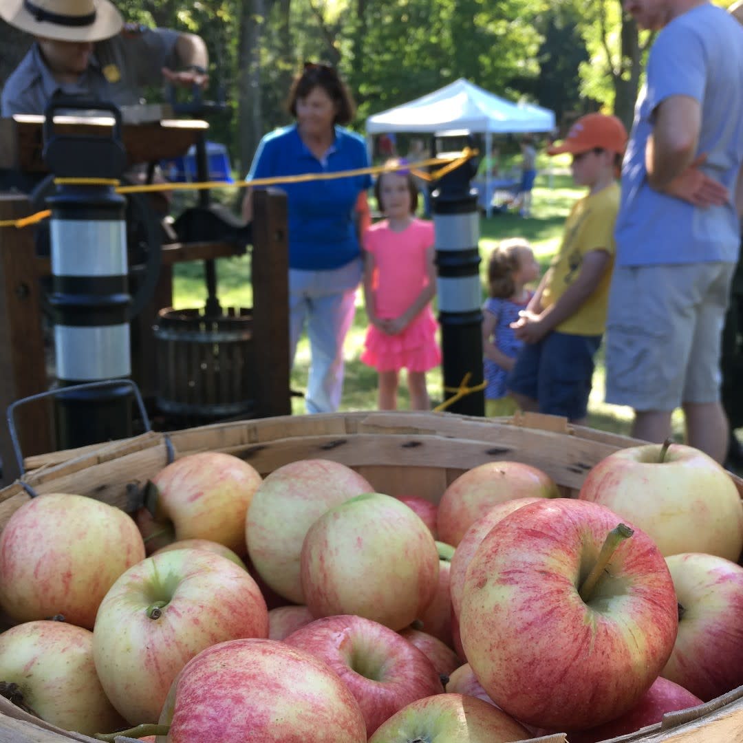 A basket of apples is in the foreground. In the background are people watching a ranger process apples.