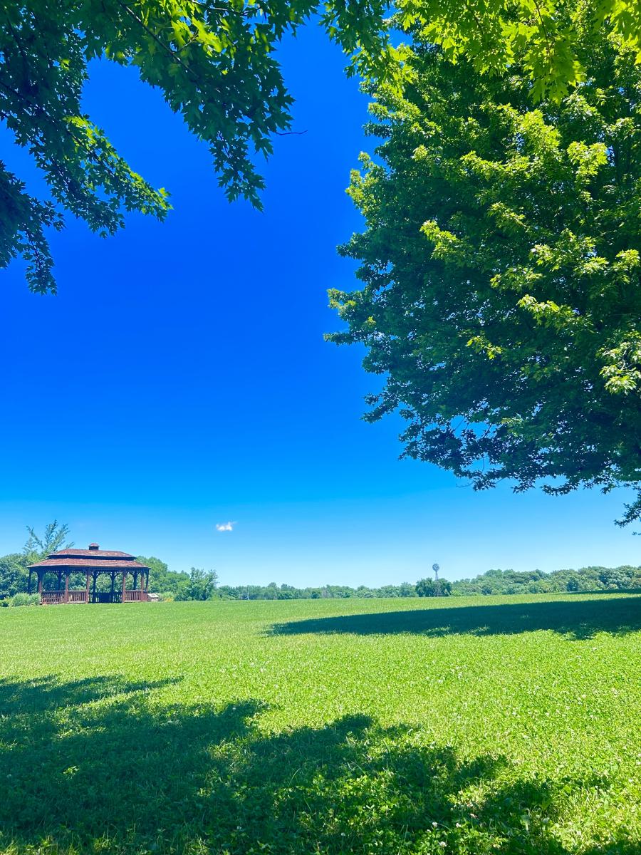 A wooden gazebo in a green field under a clear blue sky, framed by tree branches.
