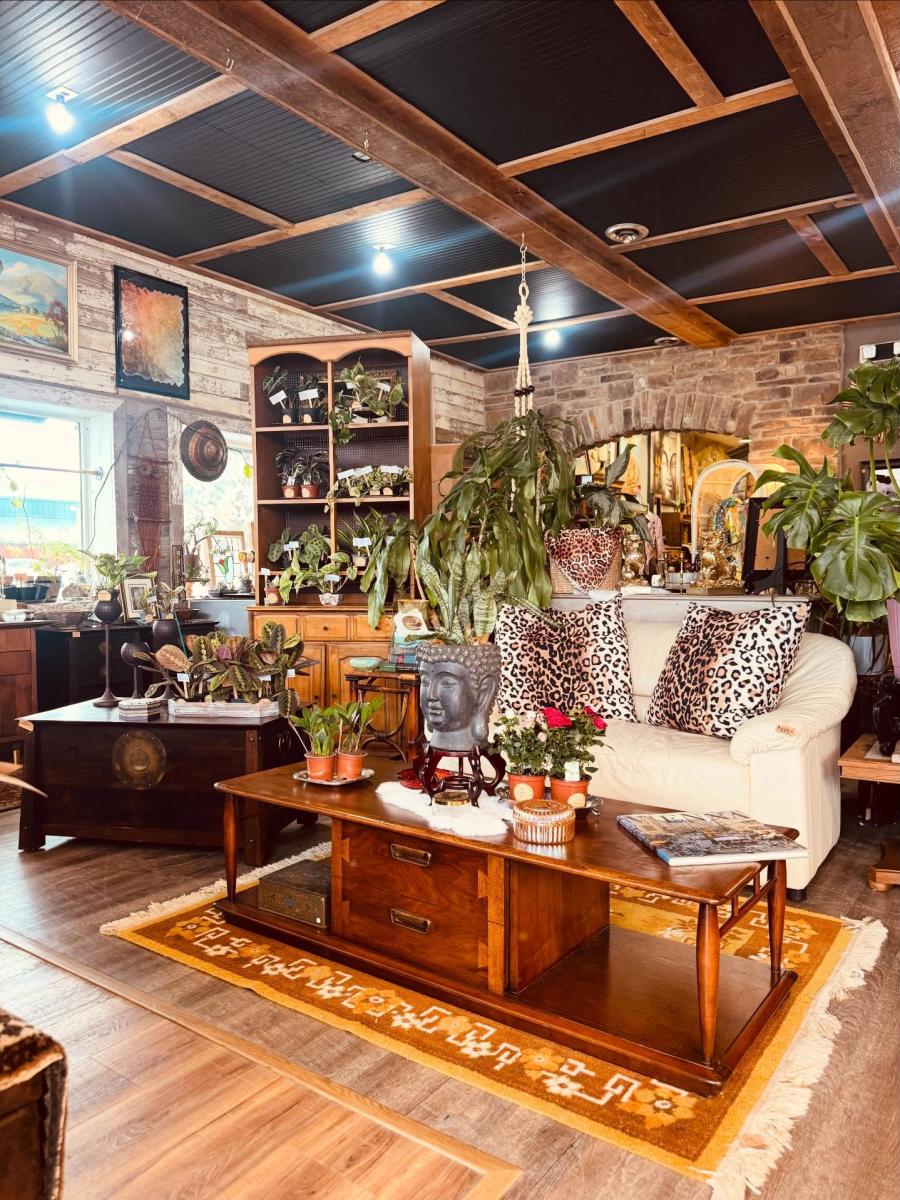An antique store filled with furniture, plants, and homegoods.
