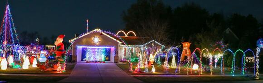 Bozak Family Lights Show