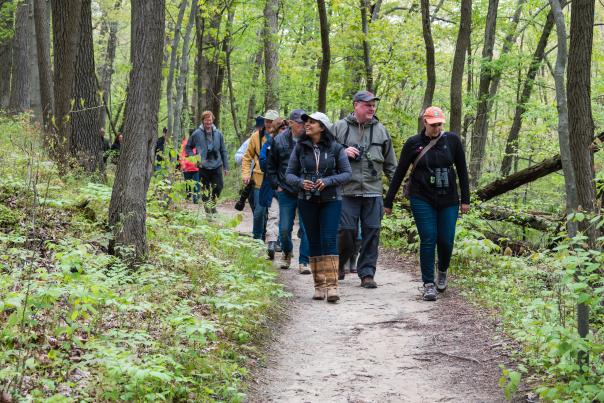 A group of birders wearing long pants and shirts walk down a wooded trail.
