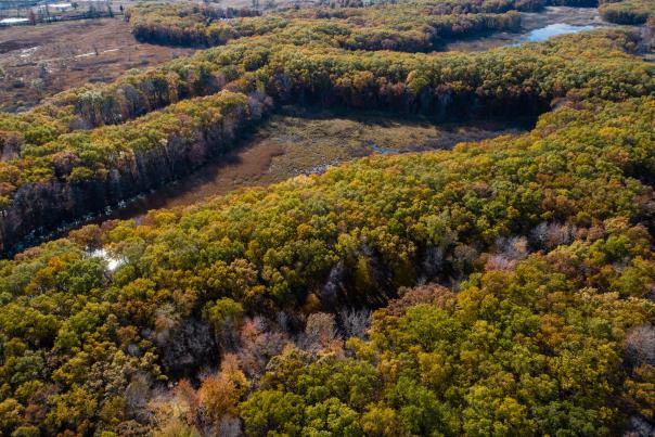 An aerial view of Cowles Bog