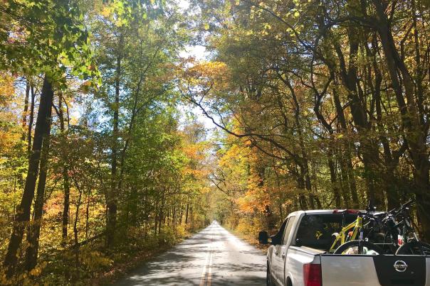 A bicycle is in the back of a pickup truck. The truck sits on a tree-lined road. The trees' leaves are various fall colors.