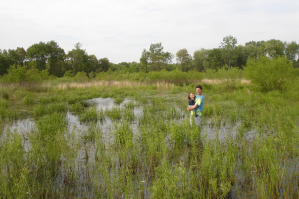 A person stands in the middle of a wetland, carrying a smaller child. Green vegetation is growing from the wet land. Trees are in the background.