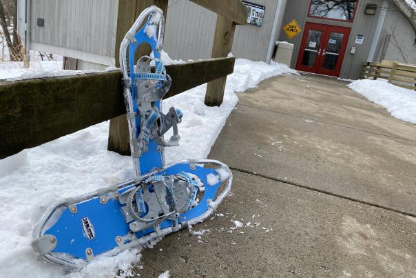 A pair of blue snowshoes sits against a wooden fence in the snow.