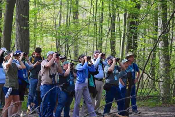 Birding Festival