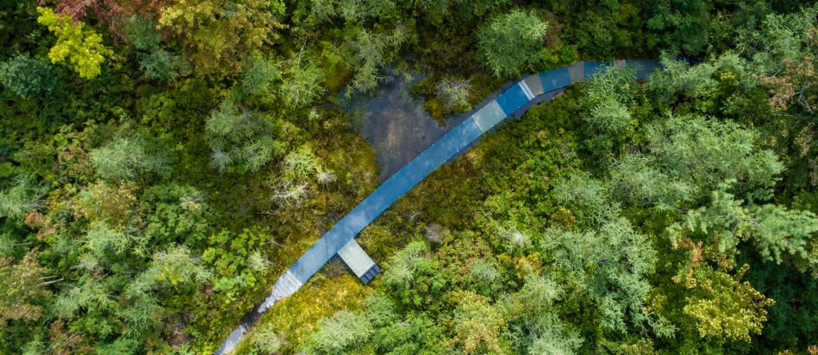 Pinhook Bog aerial