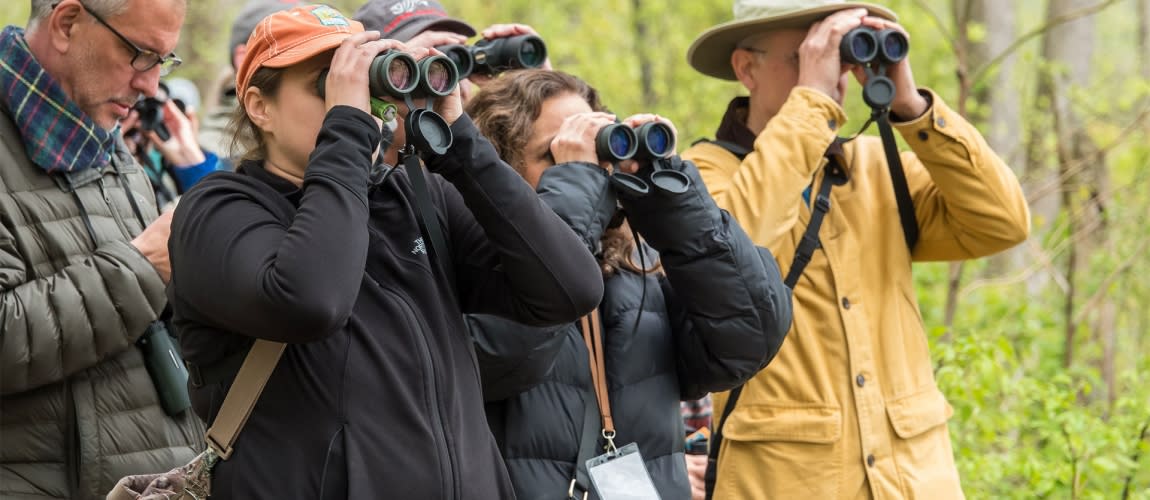 Birders at Cowles Bog
