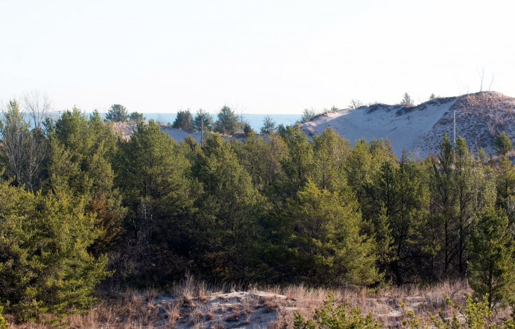 Dunes Scenery