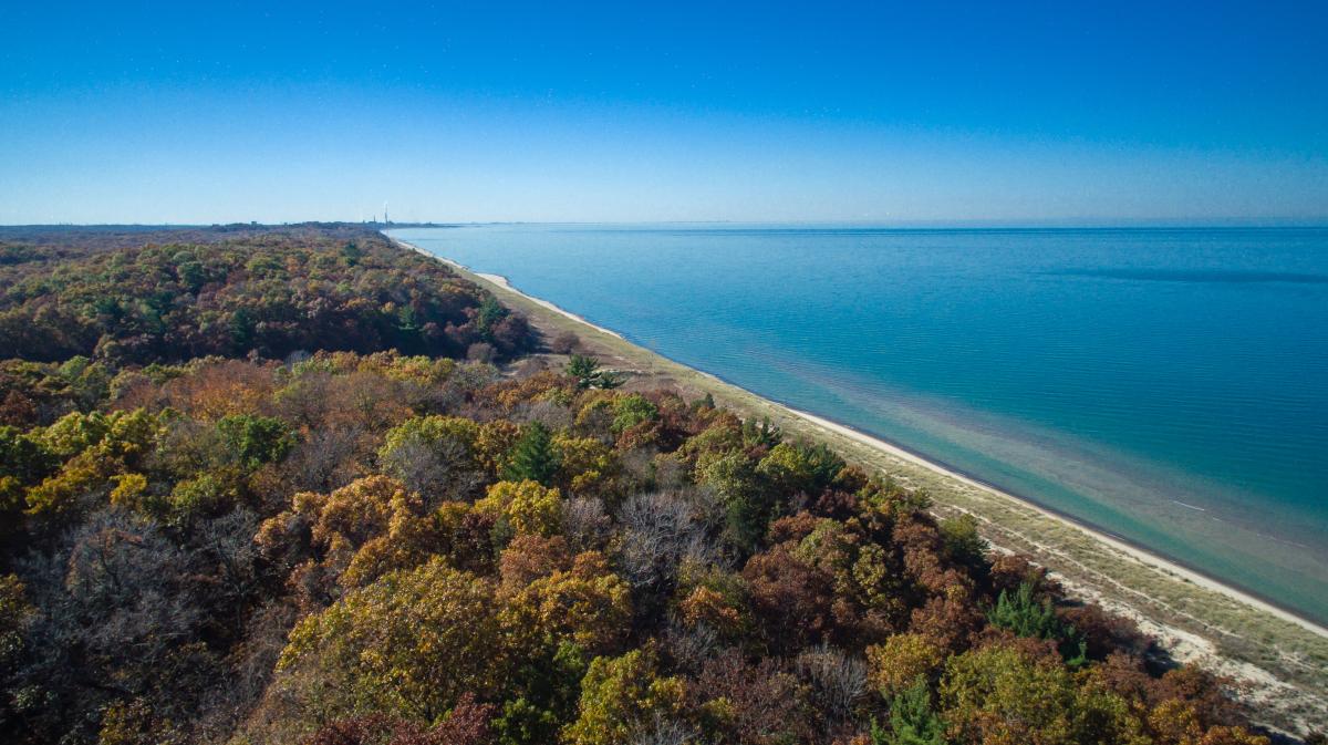 Aerial view of woods next to Lake Michigan.
