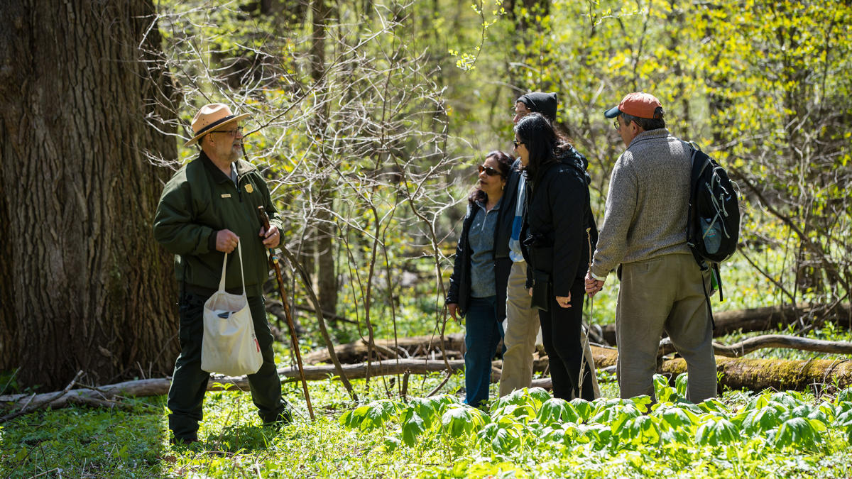 Ranger-led Wildflower Hikes