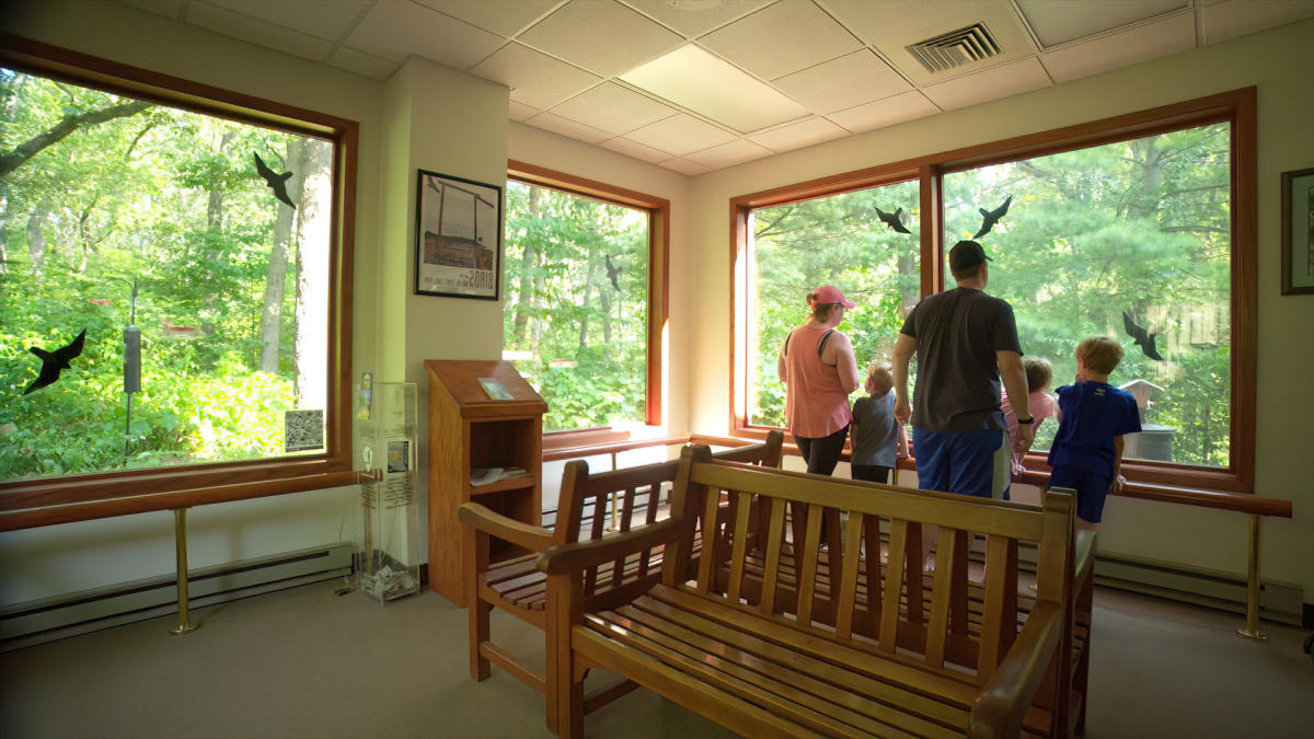 Bird viewing Nature Center