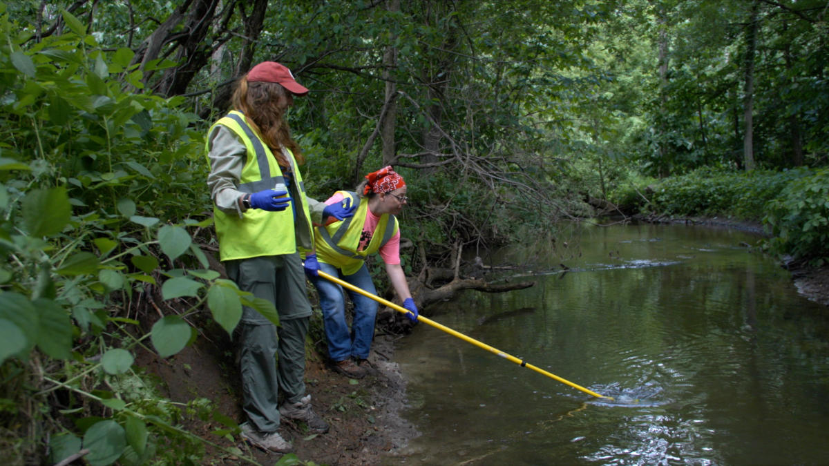 Volunteering at Coffee Creek