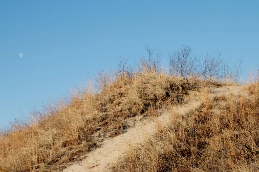 Moon over a dune
