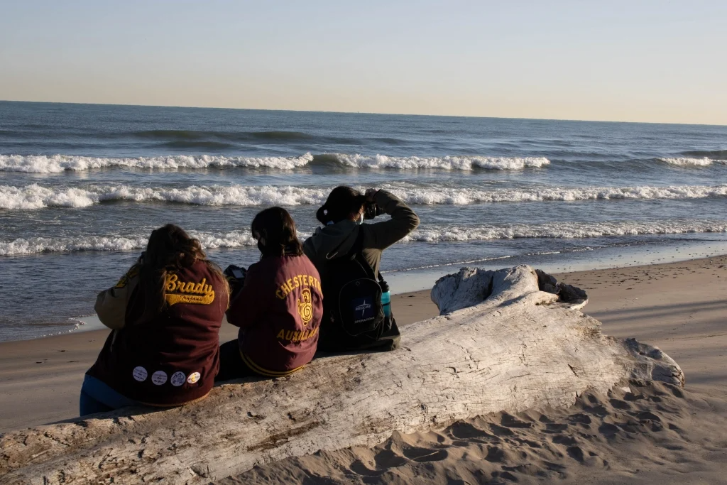 CHS Photo Students on a log