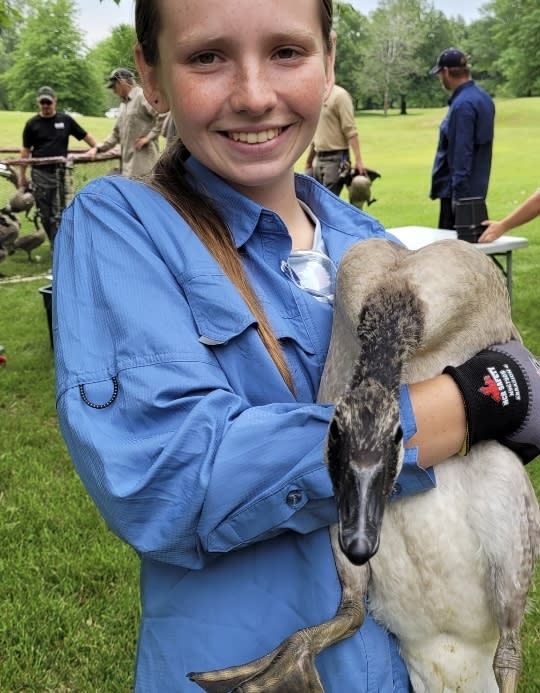 Summer 2024 Intern Dakota Dyer holding a goose during DNR Goose Banding