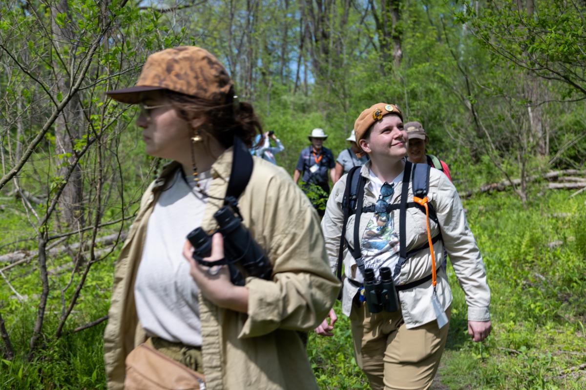 Birders wearing hats and carrying binoculars and gear as they walk along a wooded trail at the Indiana Dunes Birding Festival.