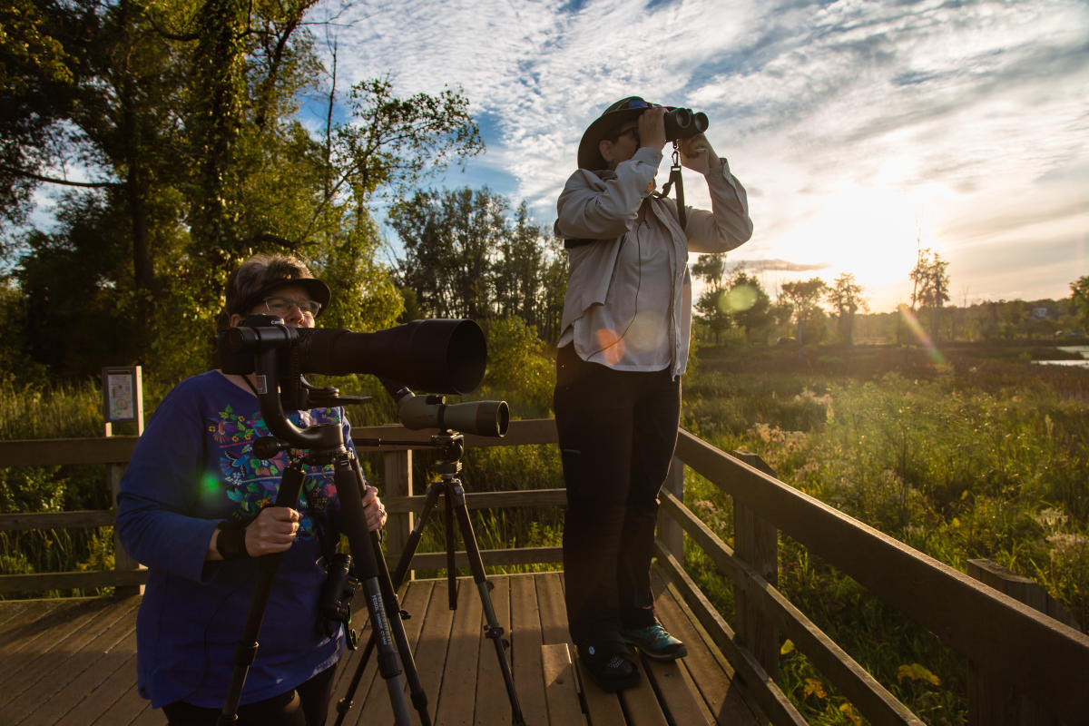 Great Marsh Trail birders