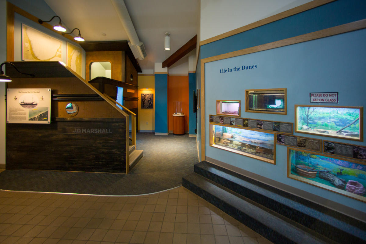 A room with educational displays on the walls.