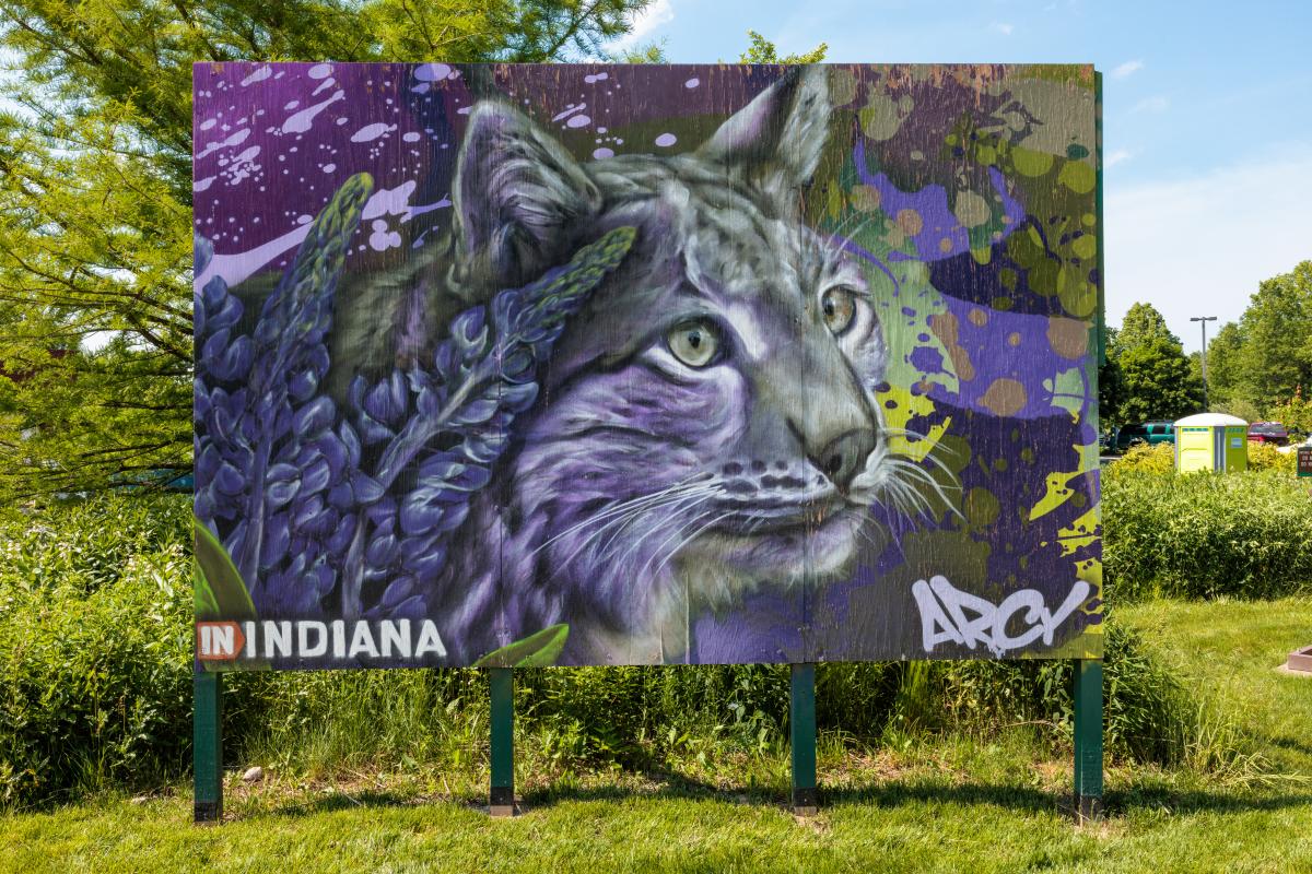 Indigenous Cultural Trail ARCY Murals