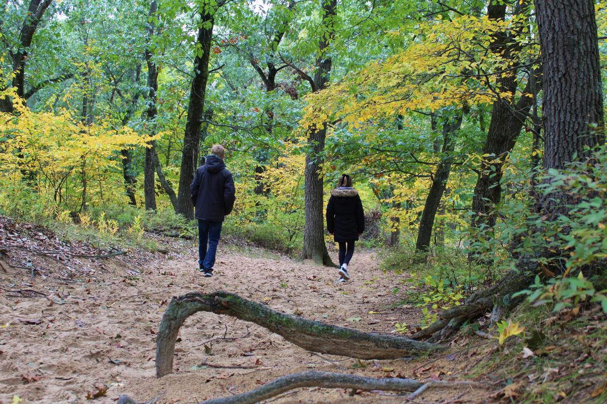Fall Discovery Trail Charlene Lynn