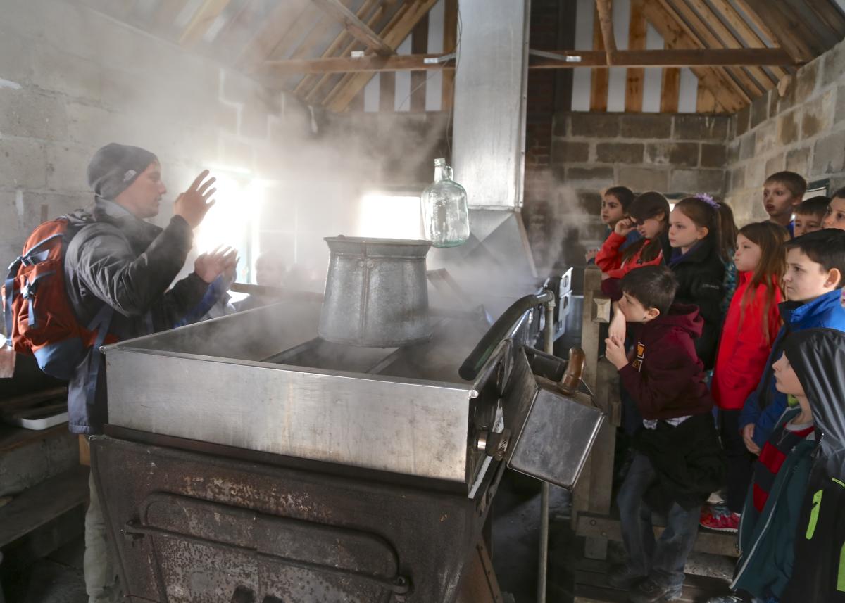 Maple_Sugar_2015_34600_hjl7bn