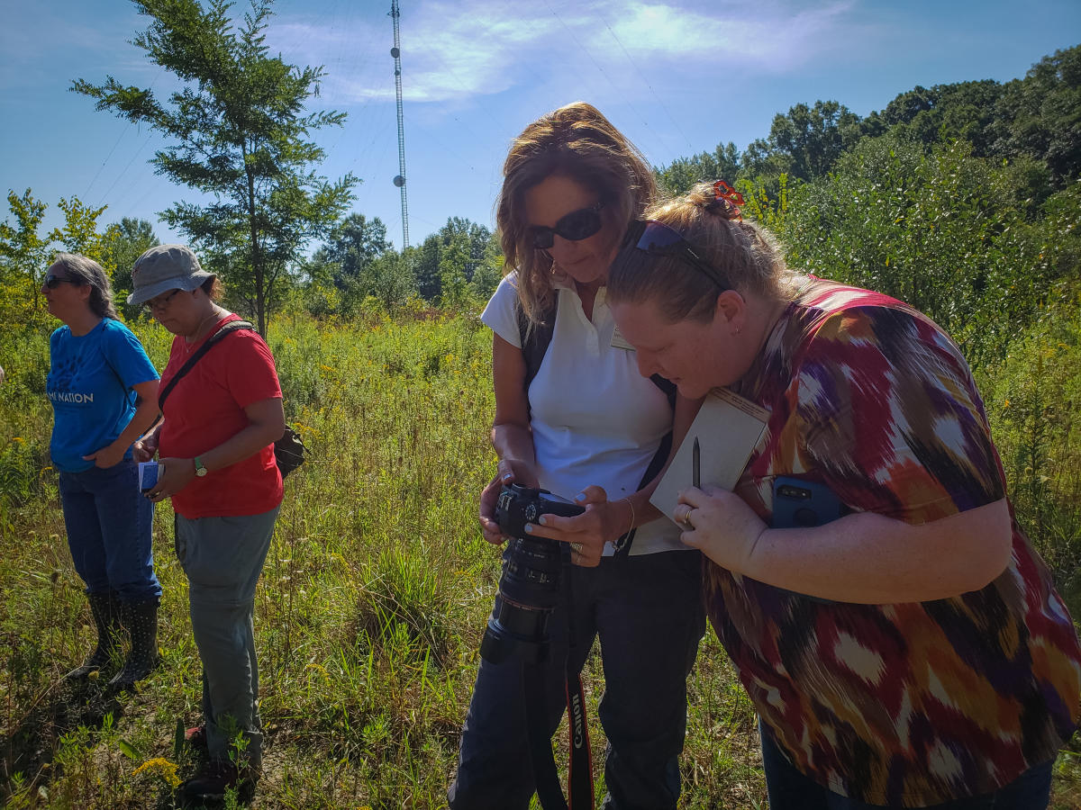 Indigenous Cultural Trail Botanization