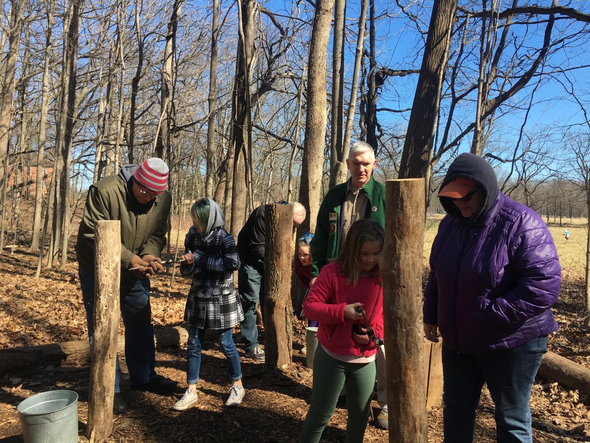 Children drill into tree stumps to learn how to tap for sugar