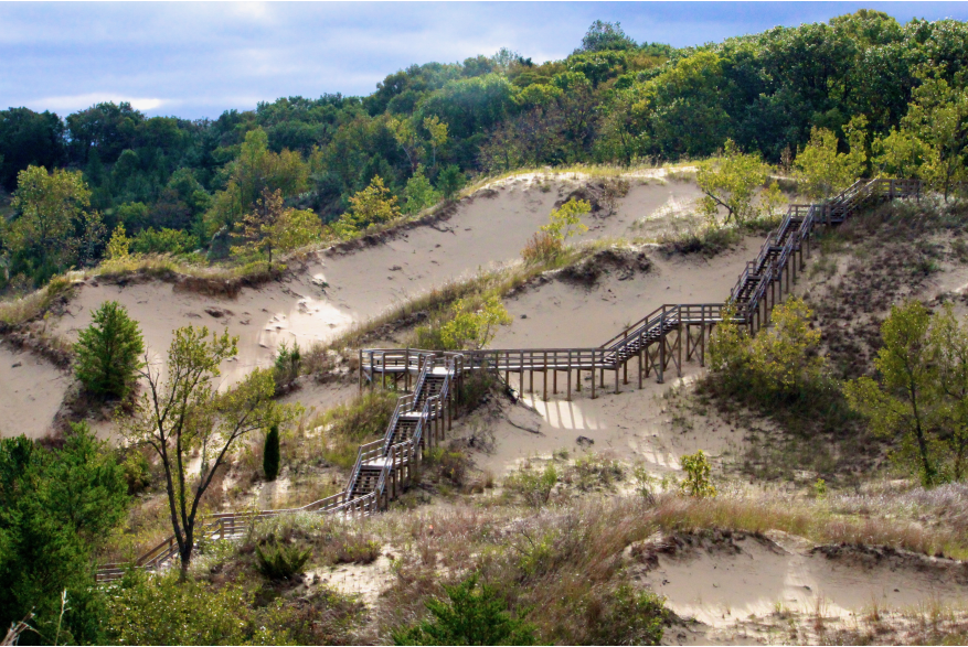 Elevated view of a large sand dune with a wooden staircase and surrounding tree cover at Indiana Dunes National Park