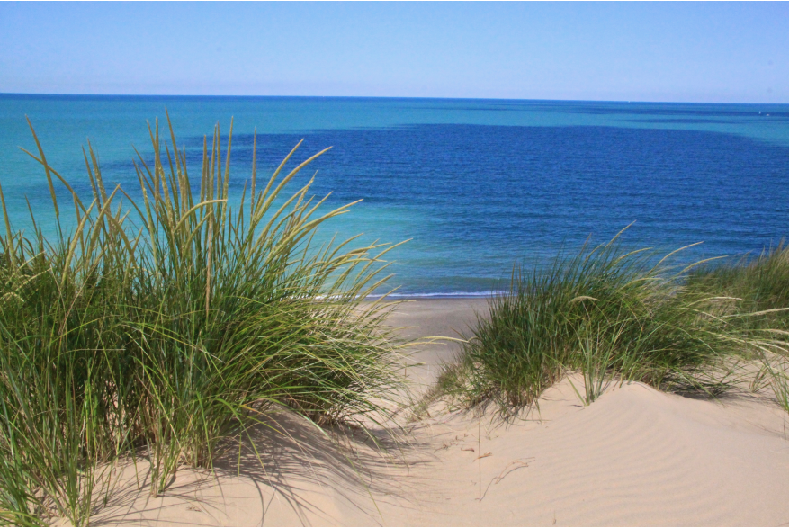 Beach grass on a sand dune framing a view of bright blue Lake Michigan water and clear sky at Indiana Dunes