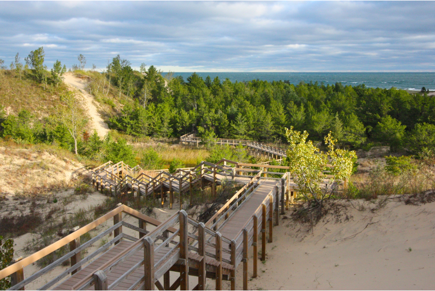 Wooden staircase descending through dense tree cover toward the beach at Indiana Dunes