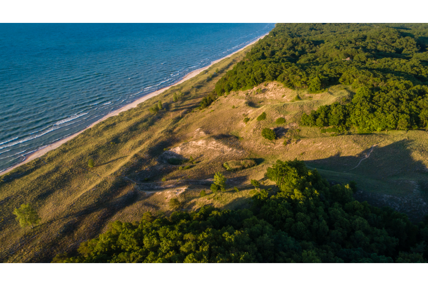 Aerial view of green vegetation on dunes near the blue water