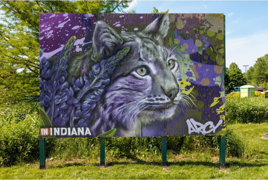 Indigenous Cultural Trail ARCY Murals