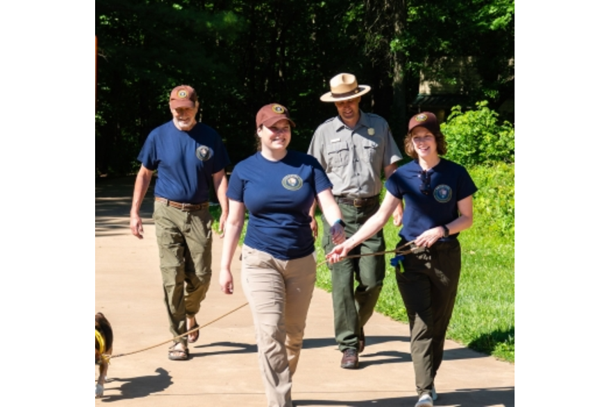 volunteers