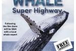 Whale Super Highway Showing