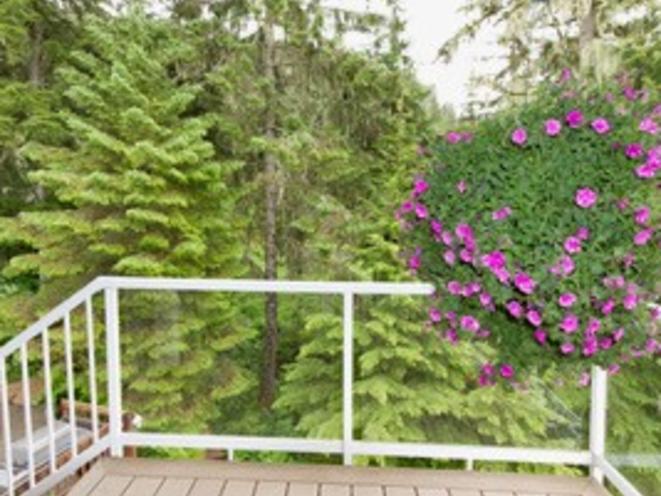 AKNS Suite deck hanging basket