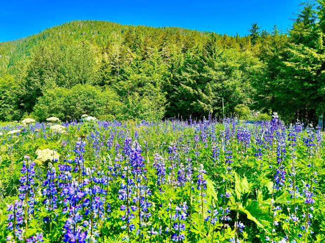 Eagle Beach State Park