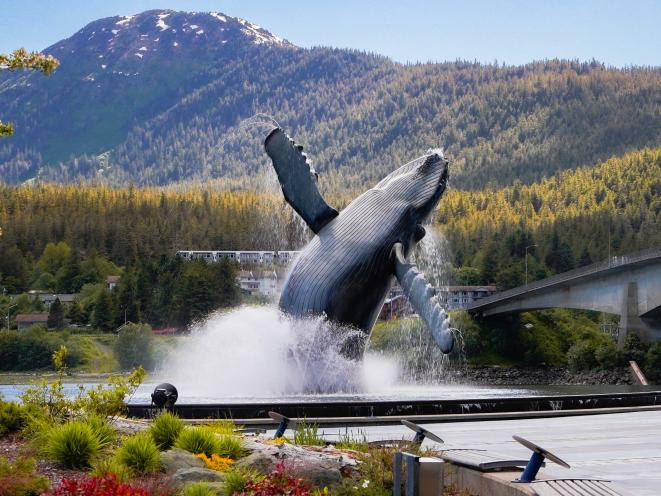 Whale Park